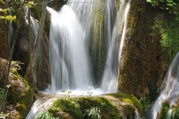 DSC2 (108).jpg